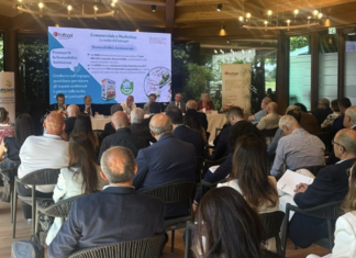 Fruttagel: fatturato in leggero aumento e numero di occupati stabile