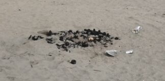 Ombrelloni rubati e lettini danneggiati: il bilancio del Bagno Susanna dopo il ponte del 1° Maggio