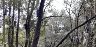 BAT BOX: i rifugi per i Batman del Parco