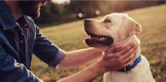 Lugo: «In sintonia con il cane» al canile di Bizzuno