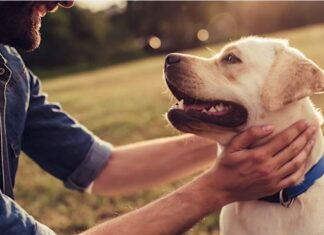 Lugo: «In sintonia con il cane» al canile di Bizzuno