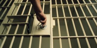 Picchiato dalla compagna, lei finisce in carcere