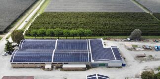 Diventa operativa la prima comunità energetica di Ravenna