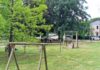 Domenica riapre il parco Cola di via Calamelli