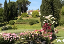 Prossimi open day all’I.P. “Persolino – Strocchi”