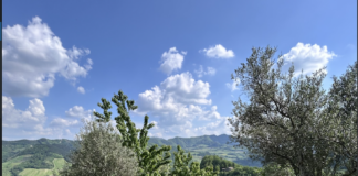 I boschi di Villa Corte: l’Asp restituisce alla fruizione pubblica 190 ettari