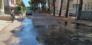 De Carli (PdF): Via Doberdò in stato di abbandono che ora la rende parzialmente impraticabile