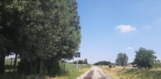 “Cattiva gestione di alcune strade nel territorio di Roncalceci”