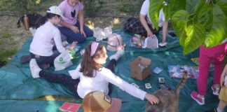 Enpa Lugo: Domani ritorna lo scambio delle figurine Amici Cucciolotti in Infermeria felina