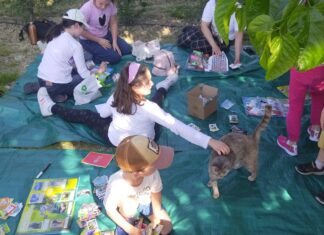 Enpa Lugo: Domani ritorna lo scambio delle figurine Amici Cucciolotti in Infermeria felina