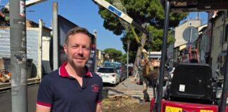 Schiano (M5S): “Le promesse si mantengono e i lecci in Via Maggiore ne sono la prova. Il pino andava abbattuto”