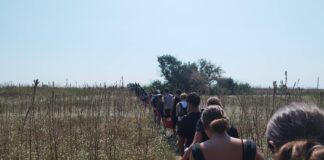 Unione: estate 2025, oltre 1.400 posizioni aperte tra spazi aggregativi per adolescenti e percorsi di volontariato fino ai 29 anni