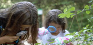 ‘Caccia alla traccia’ al Parco Naturale di Cervia il 14 giugno con la #GMMCHALLENGE25 del Gruppo Hera per regalare nuove piante al Pianeta