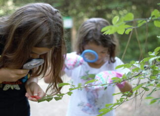 ‘Caccia alla traccia’ al Parco Naturale di Cervia il 14 giugno con la #GMMCHALLENGE25 del Gruppo Hera per regalare nuove piante al Pianeta