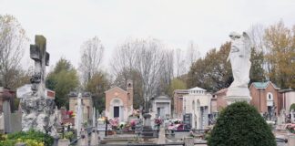 Bassa Romagna: al via Il progetto sperimentale contro le larve di zanzara nel cimitero di Bagnacavallo