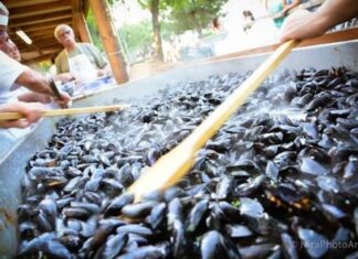 21-22-giugno a Punta Marina Terme “Sagra della Cozza alla Punta Marinara”