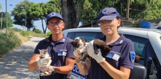 La Polizia Locale soccorre gli amici a 4 zampe