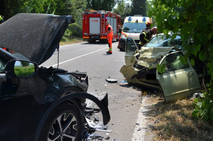 Immagine WhatsApp 2025-06-13 ore 14.45.09_a49c834a