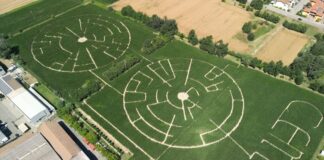 Controvento nel mais: il Labirinto Effimero di Alfonsine torna a sorprendere nel 2025