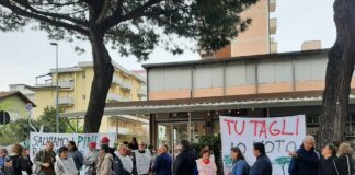 Ravenna in Comune: pini di Lido di Savio. Fermate lo scempio