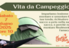 Oggettoteca: sabato due incontri per riparare piccoli attrezzi e affrontare la vita da campeggio