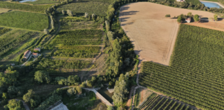Doppio intervento per aumentare la sicurezza del canale Naviglio-Zanelli