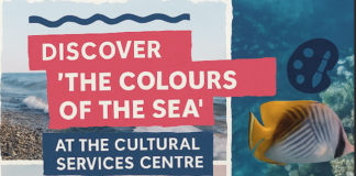 Un viaggio creativo tra colori, sogni e il profumo del mare al Centro Servizi Culturali
