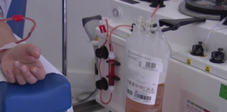 Dona il plasma: incontro con l’Avis provinciale a Faenza