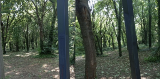 Ancisi (LpRa-Lega-PdF):Cancellate dopo 42 giorni le ingiurie infamanti contro Meloni, La Russa e Bignami nei pali luce del Comune