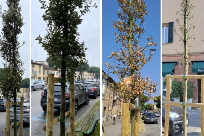 Screenshot 2025-06-17 alle 06.32.50