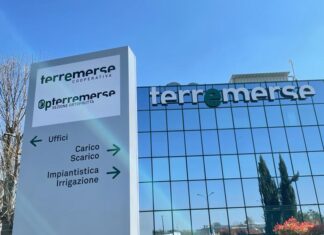 Terremerse rafforza la sua crescita: bilancio 2024 del Gruppo a 302 milioni di euro e utile sopra 1,2 milioni