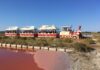 Ripartono le escursioni in trenino alla Salina di Cervia