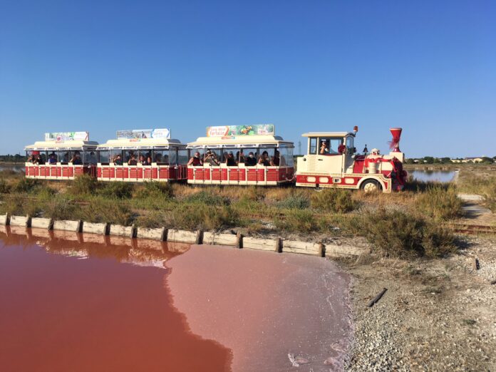 Trenino In Salina- foto Cresia Barnabè