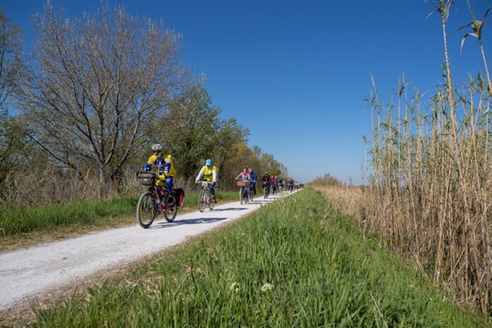 RAVENNA 18/04/22. Cibi in bici, la manifestazione di Trail Romagna e CheftoChef- RavennaFood in compartecipazione col Comune di Ravenna, conferma il successo del turismo ambientale, ancor più se questo abbina alla scoperta del territorio il benessere e l