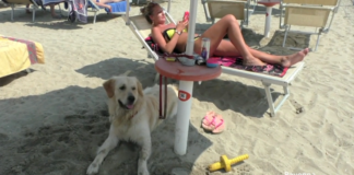 Animali in spiaggia: diverse possibilità lungo la costa della provincia di Ravenna