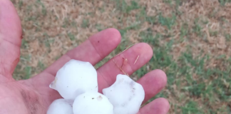 Grandine e forti raffiche di vento fra Riolo Terme e Faenza