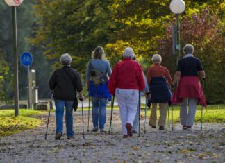Massa Lombarda: attività di Nordic Walking per anziani