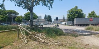 Zaffagnini (FdI): Marina di Ravenna. “Il degrado del parcheggio camper, cosa fa il comune?