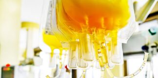 Donazione di plasma: dal 12 giugno una serie di incontri pubblici sul territorio promossi da AVIS Provinciale Ravenna