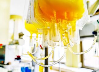 Donazione di plasma: dal 12 giugno una serie di incontri pubblici sul territorio promossi da AVIS Provinciale Ravenna