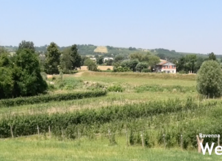 Acque e miracoli a Tebano: tre giorni di eventi come anteprima dell’Arena delle Balle di Paglia di Cotignola