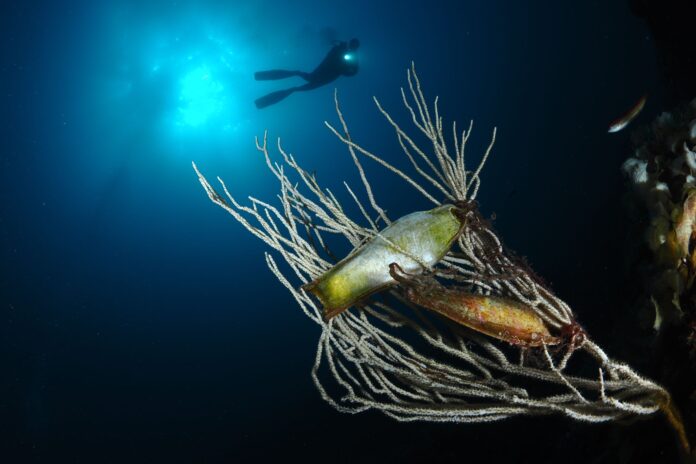 2 Grandangolo di Capasso Luca