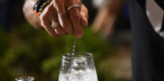 Torna il Craft Gin Summer Fest