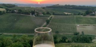 Degustazioni con il naso all’insù a Oriolo dei Fichi per “Calici sotto la Torre”