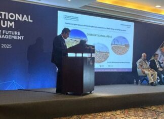 Quando il verde diventa infrastruttura: da Ecogest la proposta italiana per salvare le strade dal climate change