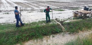 Danni da alluvione, dopo due anni risarcimenti al 50% per le coop agricole braccianti