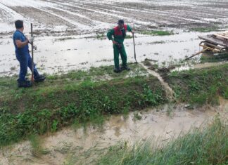 Danni da alluvione, dopo due anni risarcimenti al 50% per le coop agricole braccianti