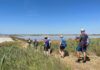 Due ore di Nordic Walking alla scoperta della Salina di Cervia