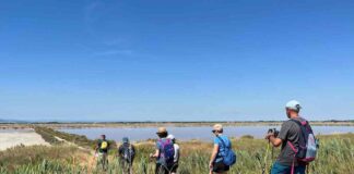 Due ore di Nordic Walking alla scoperta della Salina di Cervia