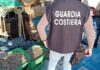 Guardia Costiera. Direzione Marittima di Ravenna: Maxi operazione a tutela della filiera della pesca